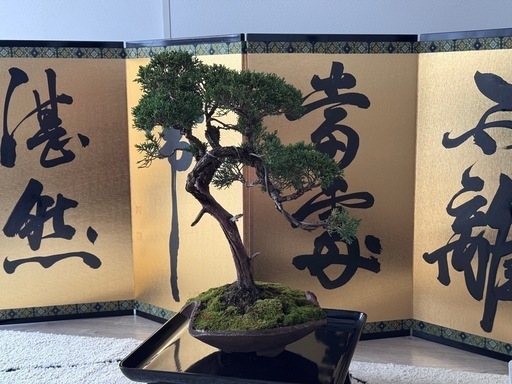 金色の書道屏風