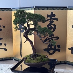 金色の書道屏風の画像