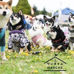 2025年10月18日・19日　dogマルシェ出店者募集　…