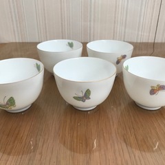 【未使用】庫山窯　白磁湯呑5客　急須セットの画像