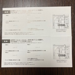 魔法の美術館ご招待券大人１枚＆子ども１枚の画像
