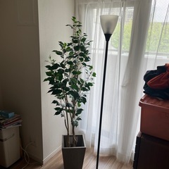 人口植物と間接照明　セット　新品未使用