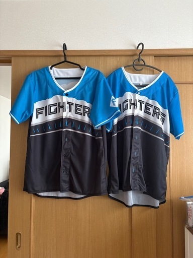 北海道日本ハムファイターズ | ――進化はまだまだ止まらない