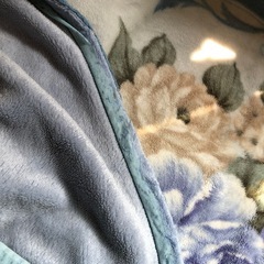 ★厚手毛布★の画像