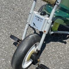 ◆サンシェード付き三輪車　アイデス カンガルー フォレスト(グリーン)の画像