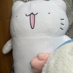 ぬいぐるみ3つ！の画像