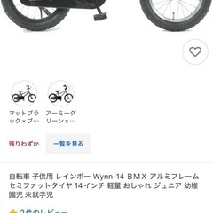 自転車 子供用 レインボー Wynn-14 ＢＭＸ アルミフレーム セミファットタイヤ 14インチ 軽量 おしゃれ の画像