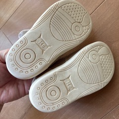 tete a tete 14.0cmの画像