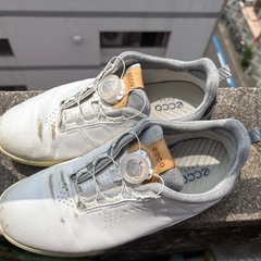 ゴルフシュウズの画像