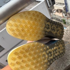 ゴルフシュウズの画像