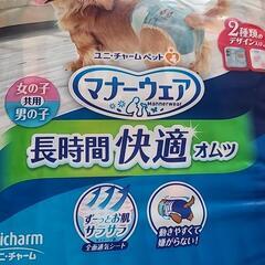 【取引先決定】わんこ用🐕‍🦺ᯓᡣ𐭩マナーウェアSサイズの画像
