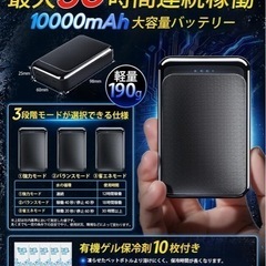 寒冷ベストの画像