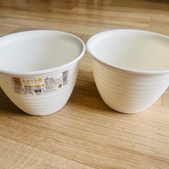 丸鉢5号  2セット🌻