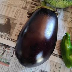 お野菜５点の画像