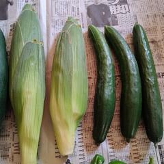 お野菜５点の画像