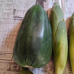 お野菜５点の画像