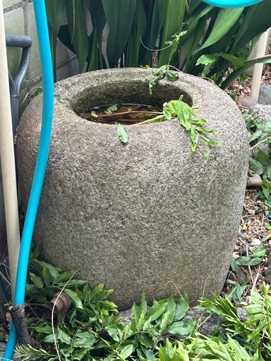 水鉢　庭石