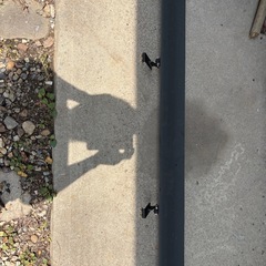 軽（コンパクトカー）用　GTウィングの画像