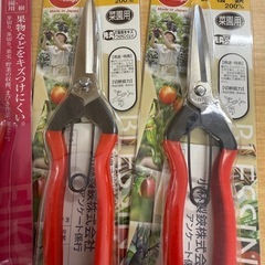 ◎芽切バサミと収穫バサミ各2本の4本セットの画像