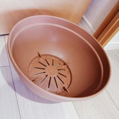 巨大鉢植え🪴購入2023年7月【私は小物入れに使用】とても美品👑...