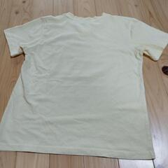 Ｔシャツの画像