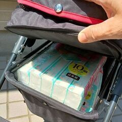 ルード 4輪 ペットカート　ROODOの画像