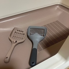 猫用トイレの画像