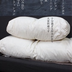 ⭕️現金なら10%OFF　首都圏送無料〜KEYUCA アコード　フェザー20万オーダーカウチ ソファ プレミアム布地の画像
