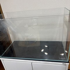 60cmオールガラス水槽