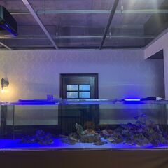 このサイズが！特別価格50万円（税抜）で売ります！の画像