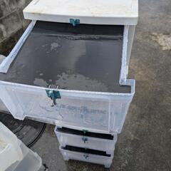 爬虫類　ゲージの画像