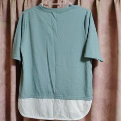 レディースTシャツの画像