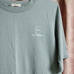 レディースTシャツの画像