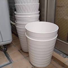 鉢植え８個