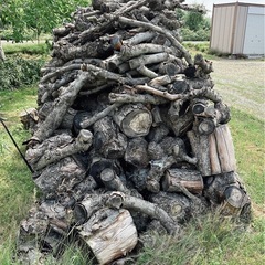 【無料！無くなり次第終了】りんごの薪　カット済み　積み放題の画像
