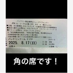 【野球観戦チケット】8月17日(日)中日-De NA