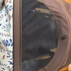 ベビーカーの画像