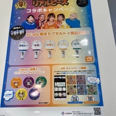 リアルピース シープラ ガチャガチャ