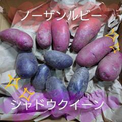 じゃがいもセット　１キロ