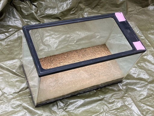 【 魚の飼育・昆虫や動物の飼育に！ 】中古飼育水槽（昆虫飼育のマット付き！）：最適な飼育環境を２個セットで！（2個組）【今季限定】
