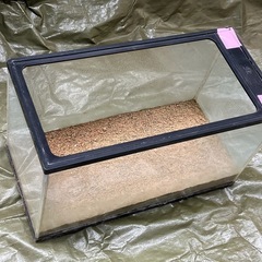 【 夏休みの自由研究に！ 】中古飼育水槽（昆虫飼育のマット付き！）：バーゲン中！予告なしに終了！早い者勝ち！ ※ 運が良ければ、地中の卵のふ化の可能性も（鈴虫）！最適な飼育環境を２個セットで！（2個組）【夏限定】の画像