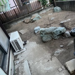 庭石や庭木、紫陽花、金木犀、カナメモチ、飾り置き石などの画像