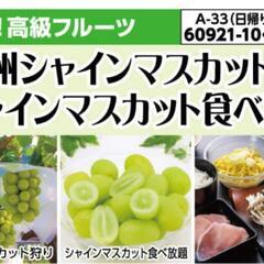 🚌バスツアーが好きな方🚌