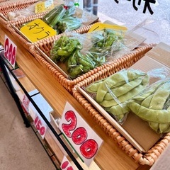 🍅高糖度トマト‼️糖度10〜12‼️若松旬野菜‼️朝採り‼️ 100円‼️ 野菜の画像