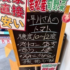 🍅高糖度トマト‼️糖度10〜12‼️若松旬野菜‼️朝採り‼️ 100円‼️ 野菜の画像
