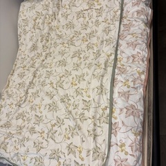 LANCEL 綿毛布　２枚セットの画像