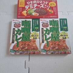 レトルトカレー2箱とカレールーのセット