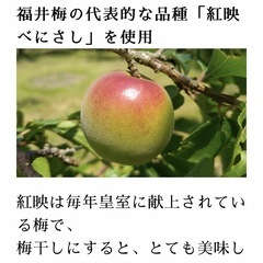 『半額以下です』皇室に献上されてる梅干し1、5㎏ですの画像