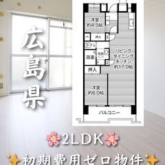 【広島県の物件紹介】2LDK・タワマン最上階✨【広島市中区光南】