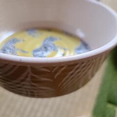 ペット用食器の画像